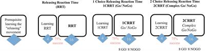 A Dissociation of Attention, Executive Function and Reaction to Difficulty: Development of the MindPulse Test, a Novel Digital Neuropsychological Test for Precise Quantification of Perceptual-Motor Decision-Making Processes